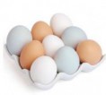 Huevos de Campo (docena)